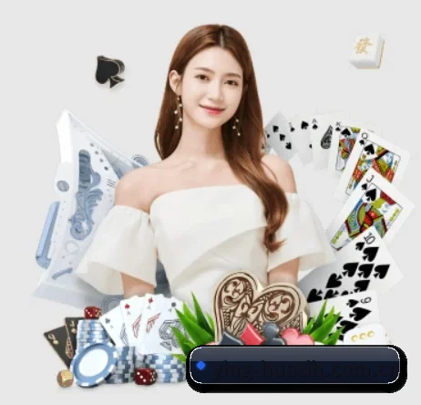 五大服务分区,信息按项目分类 | hth